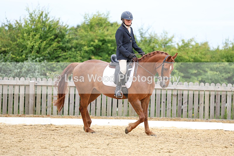 3E7A9375 - Class 2: Intro 1 2024 Section B