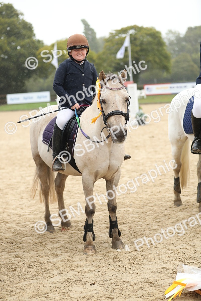 SBM_74118 - J16 - Junior Pony 75cm Championship