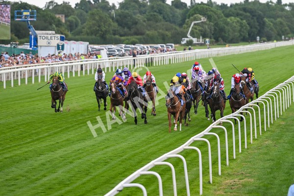 260725-Race 4-Air Force One-7571 - Race 4 3.20pm Sky Bet 'Jump Jockeys' Nunthorpe' Handicap