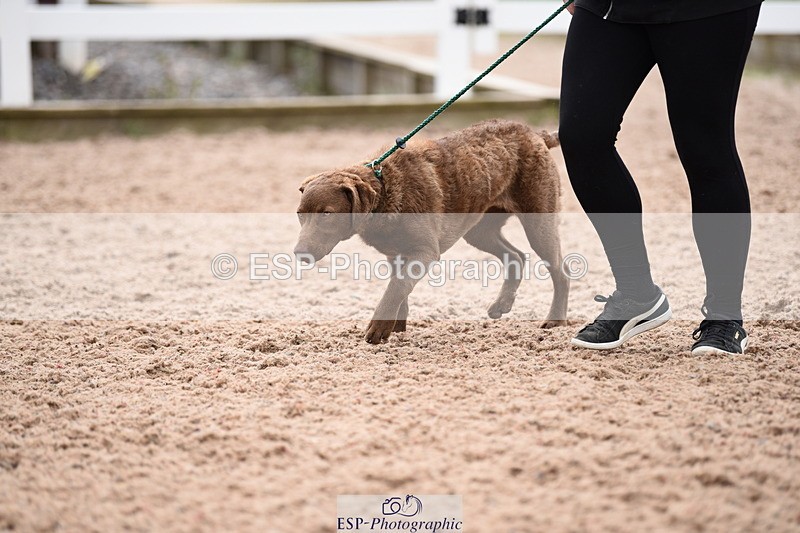 240518A-112142-00758 - Cls 1 Cutest Puppy