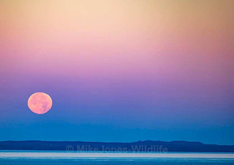 Moonset over the Isle fo Coll, Inner Hebrides. - Sea Mist, Moonset and Sunset over the Hebrides seen from the Isle of Mull