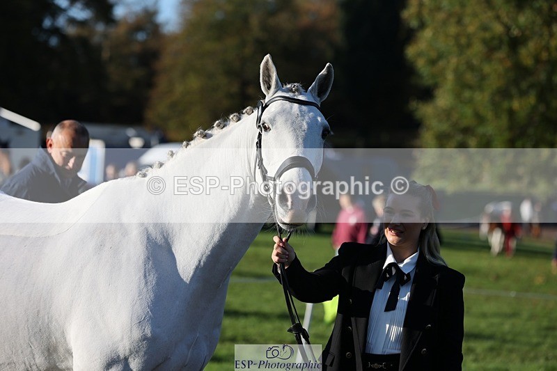 241027-090142-14974 - 461-Olivia.Radcliffe-CHALKY'S.DREAM