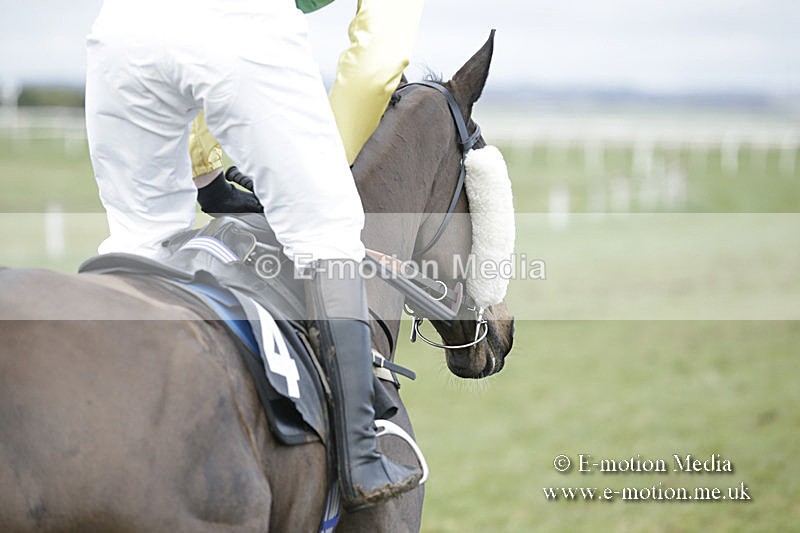 PtP 150320 0656 - New Forest Point-to-Point Larkhill 15/03/20