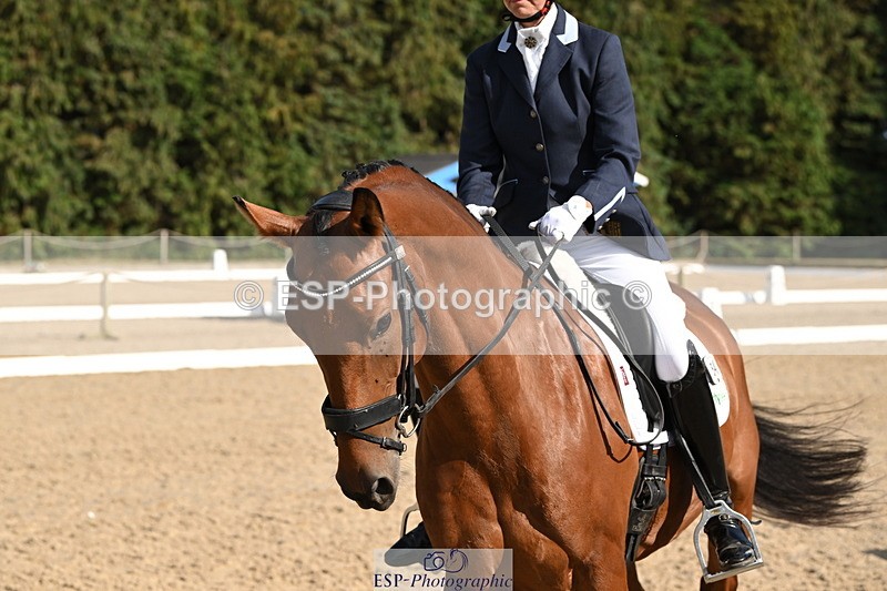 250808A-170415-02231 - Preliminary GOLD Presentations