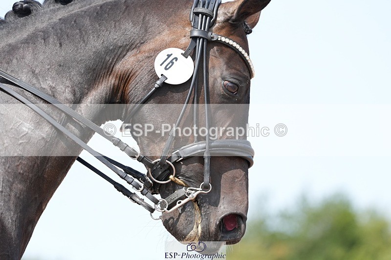 250815-124818-01083 - 016-Ben.JamesToto.light