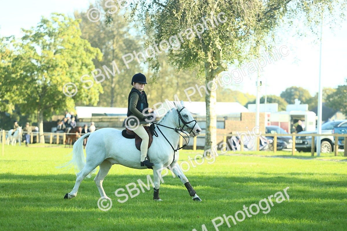 SBM_36273 - S29 - Novice & Newcomers Working Hunter Pony