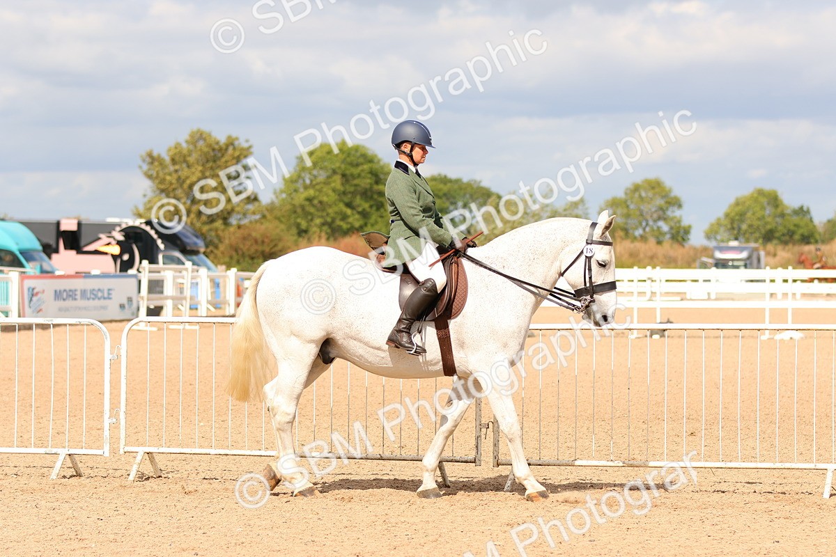 SBM_15471 - Class 214 - Ridden Show Cob