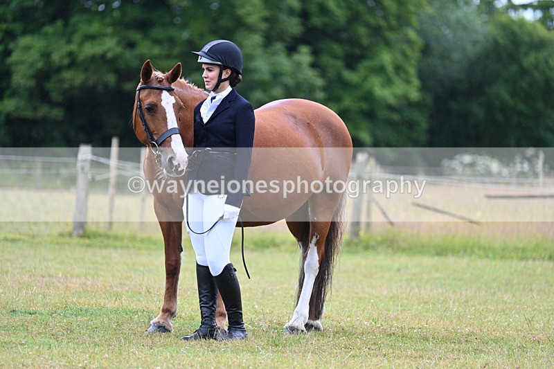 WJ7_6215 - Class 4a Prettiest Mare over 14hh