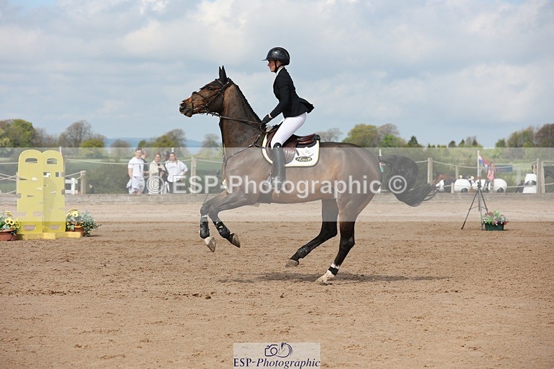 250427-111315-15864 - Cls 36 Young Horse 7yr old