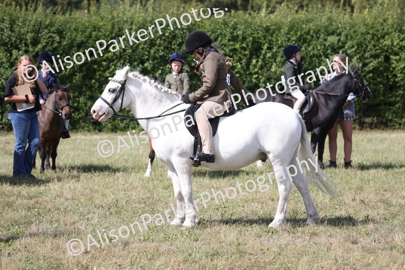 20260906-3039 - Class 18 - Childs First Pony