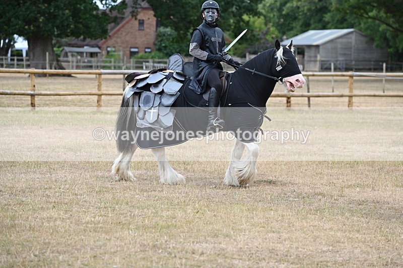 WJ6_8844 - Class 11 Fancy Dress