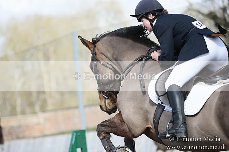 BVRC SJ 170319 622 - Bourne Valley Riding Club Showjumping 17/03/19
