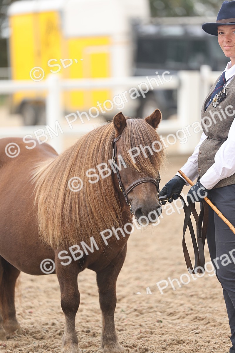 SBM_03256 - Class 16 - IH M&M Wildcard