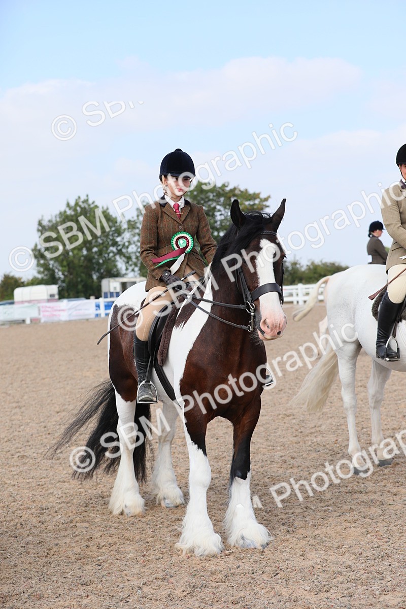 SBM_13533 - Class 308 Ridden Coloured Horse