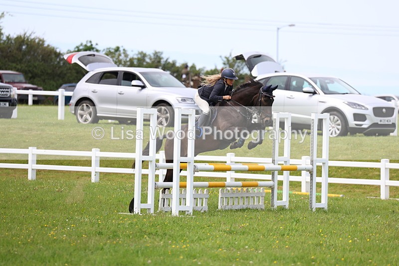 3E7A1719 - Class 13: Senior British Novice/90cm open