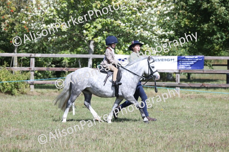 20250831-2634 - Class 17 - Lead Rein Pony