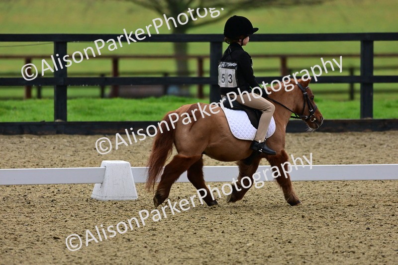 20260125-0554 - Class 9b - Walk Trot Unassisted