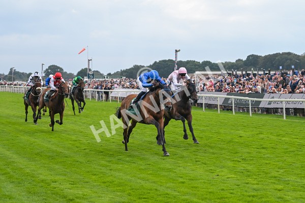 220825-Race 2-Trawlerman-7068 - Race 2 2.25pm Weatherbys Lonsdale Cup Stakes