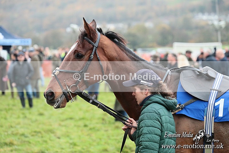 PtP 091125  0452 - Point-to-Point Wales Area Club Lower Machen, Gwent 09/11/25