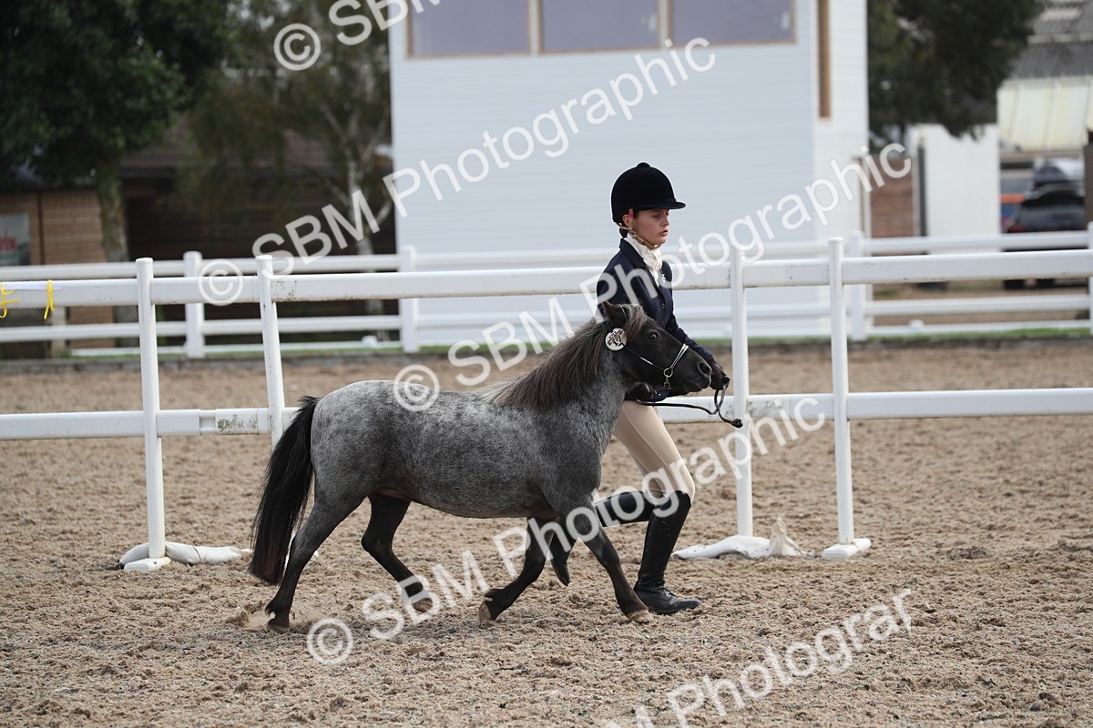 SBM_23287 - Class 606 - 2025 Area - IH Pre Vet