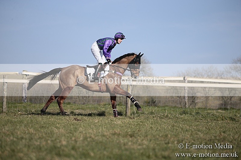 PtP 240218 224 - Vine & Craven Hunt Point-to-Point Barbury racecourse 24/02/18