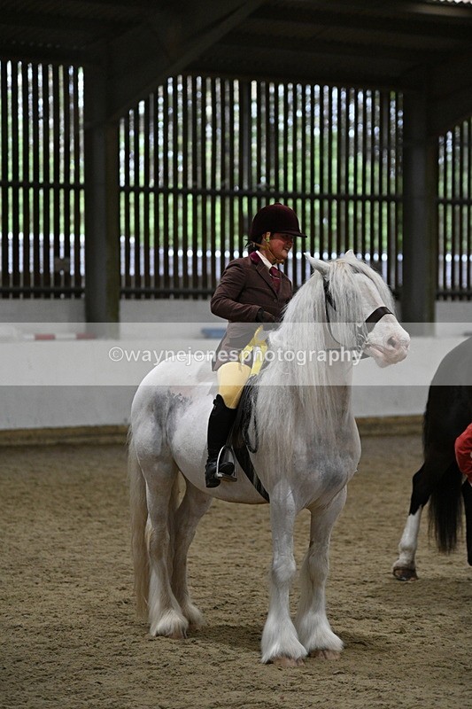 WJ7_4350 - Class 17 Ridden Cob