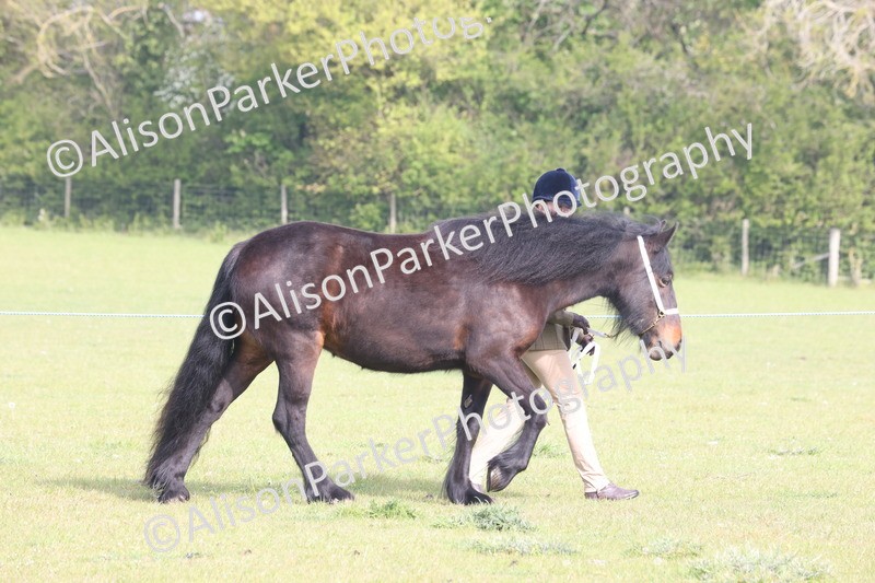 20260426-0611 - Class 23 - Youngstock