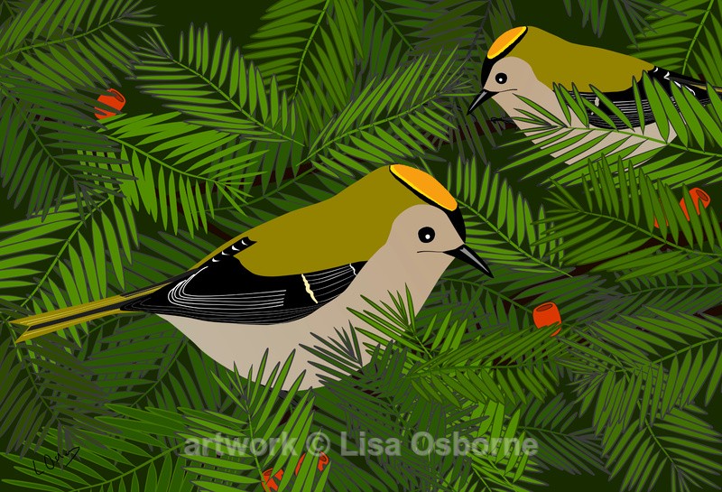 Goldcrests - DIGITAL ARTWORK