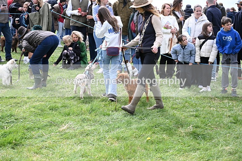 WJ6_8296 - Class 4 Prettiest Bitch