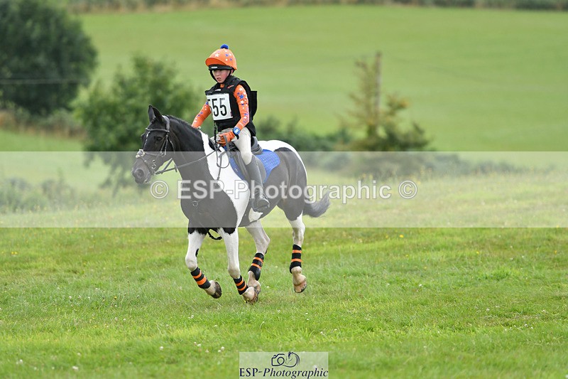 240804-144238-15105 - 555-Jack_Wish-WESTERLAKE_BUTTONWEED