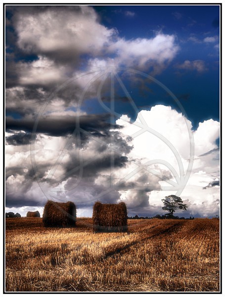 Storm_Approaches - Everything Else