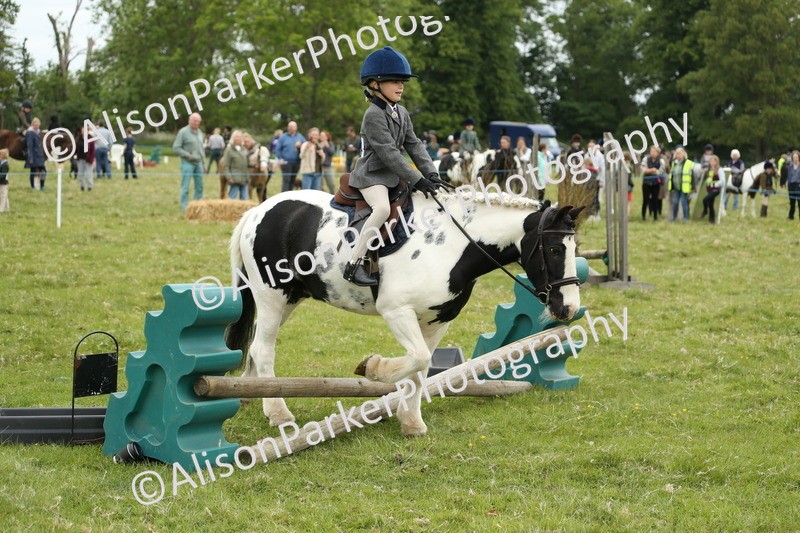 20250517-0490 - Class 20 - Beginners Working Hunter