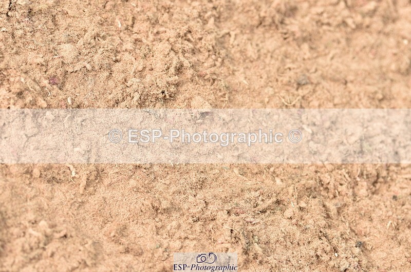 230810A-095452-00162 - Cls 8 British Novice & 90cm Open