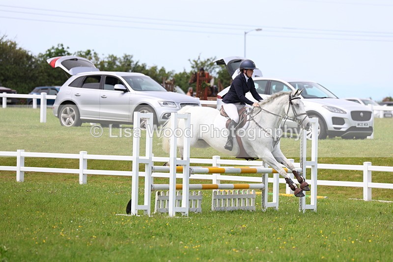 3E7A1536 - Class 13: Senior British Novice/90cm open