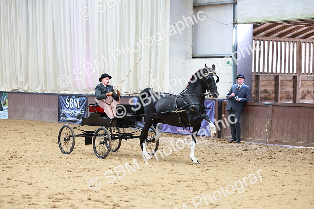SBM_001010 - Class 13  - HHS Championship Intl Hackney Horse to a Show Wagon