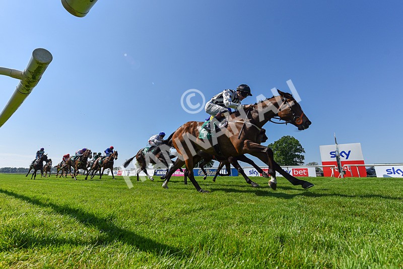 180524-Race 3-Burning Cash-6534 - Race 3