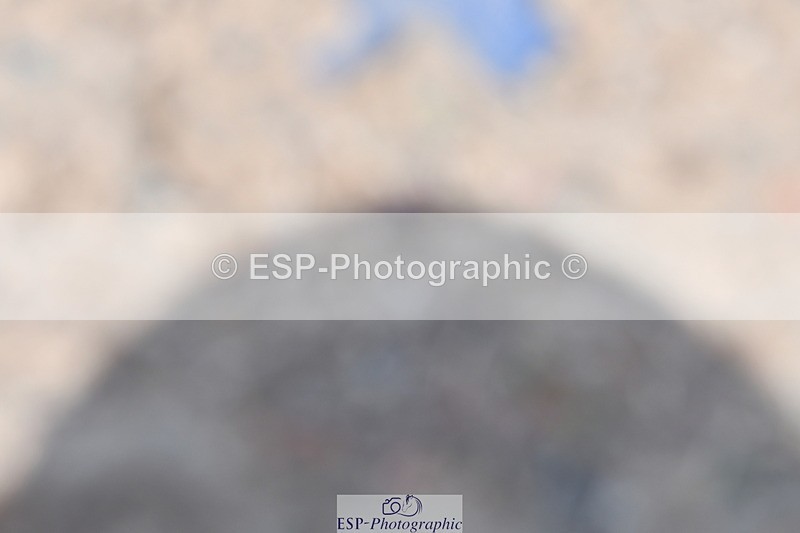 230520A-132136-01323 - Cls 6 Novice 30