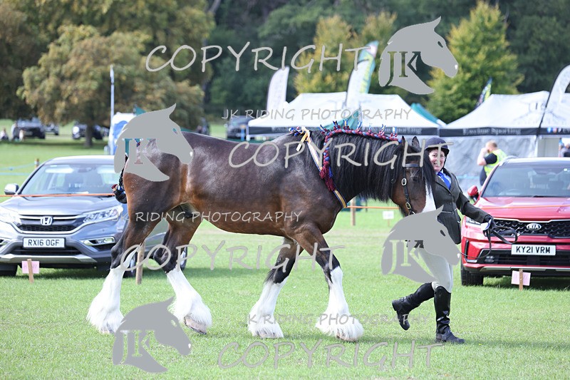 APP_3342 - Class 4 Veterans