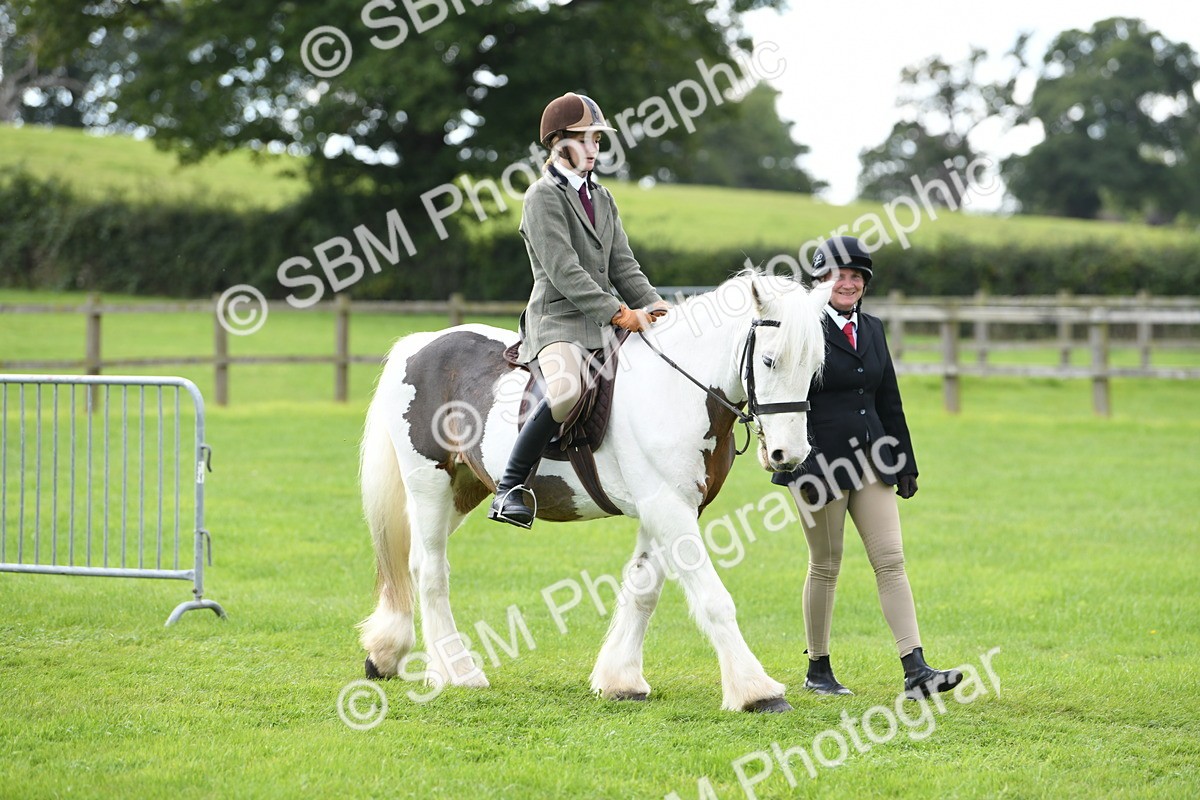 SBM_46681 - S12 - Family Horse & Pony