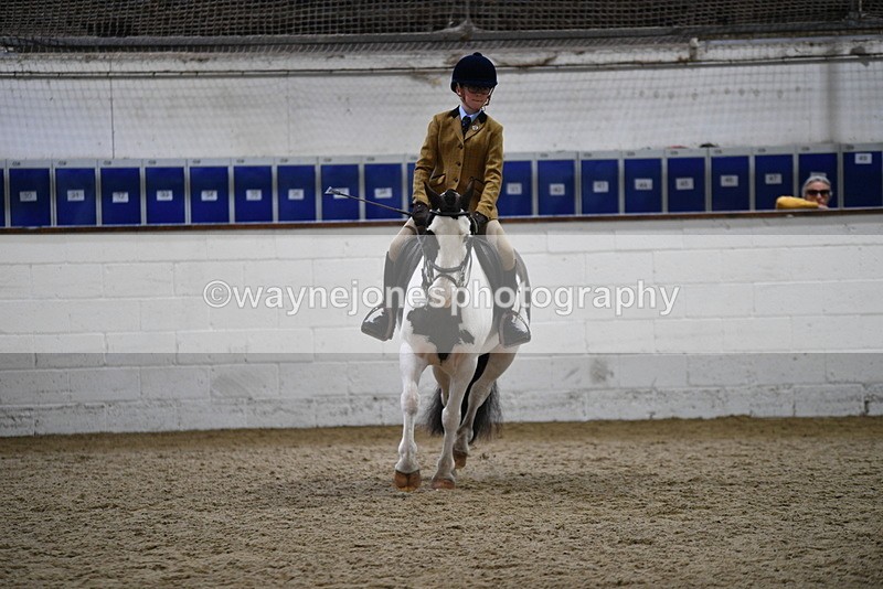 WJ5_7280 - Class 11 Ridden PC - RC Pony
