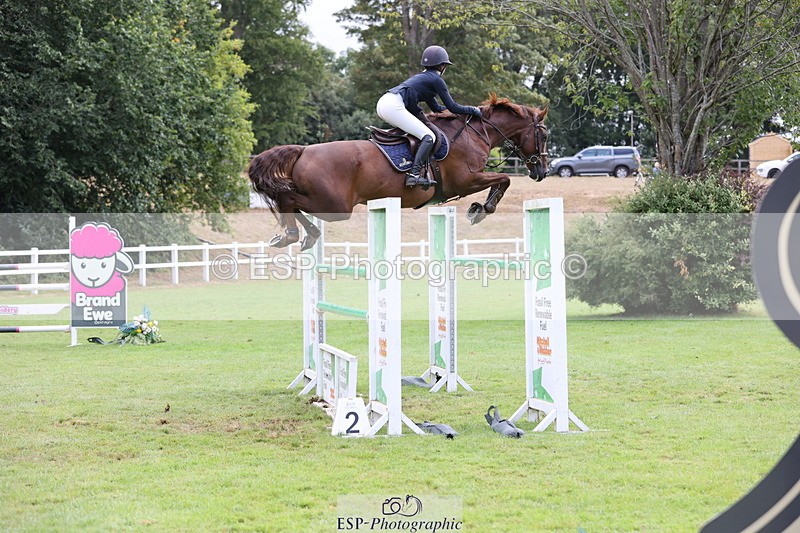 250830A-102451-04825 - Cls 14 HOYS Grade C Quali