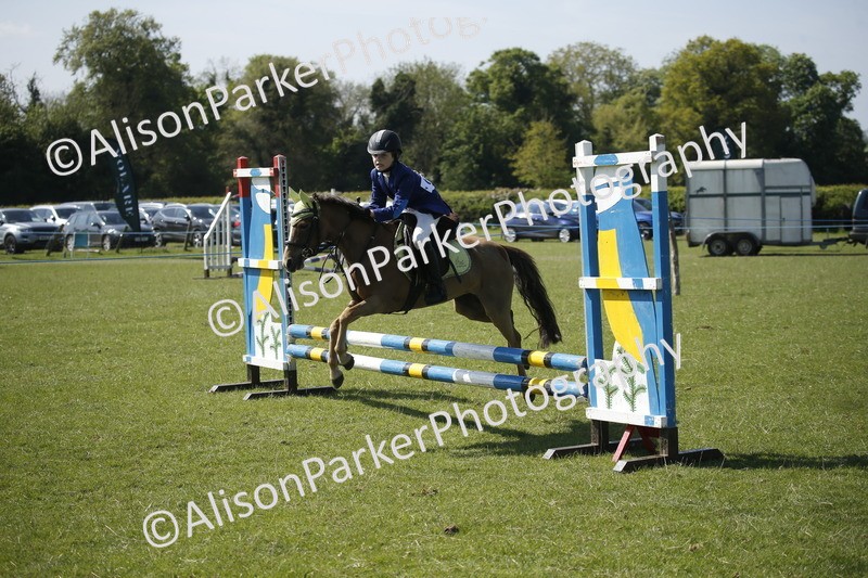 20250427-2123 - Class 13 - Novice Jumping 60cm
