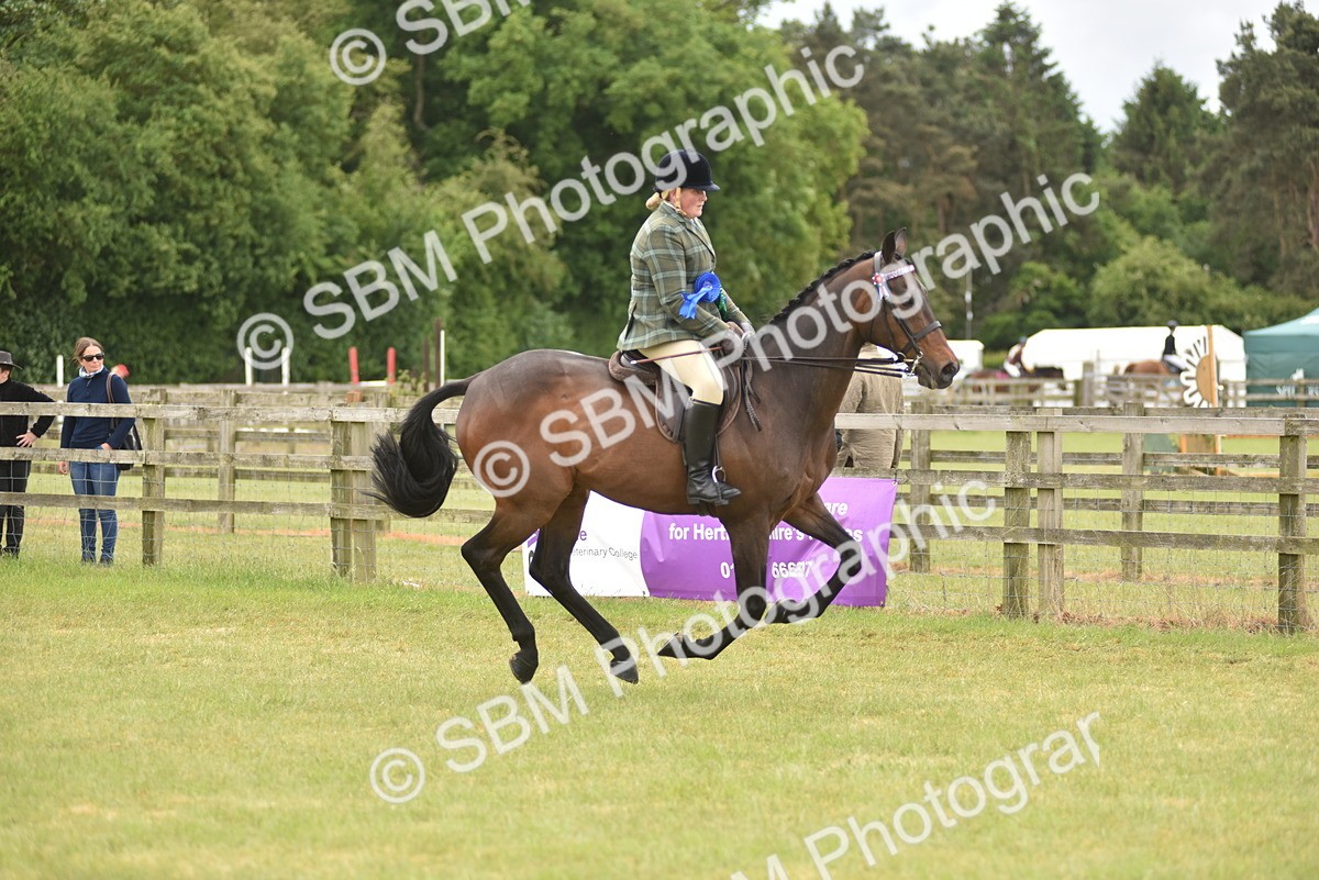 SBM_14283 - Class 113-114 - Retraining of Racehorses Ridden