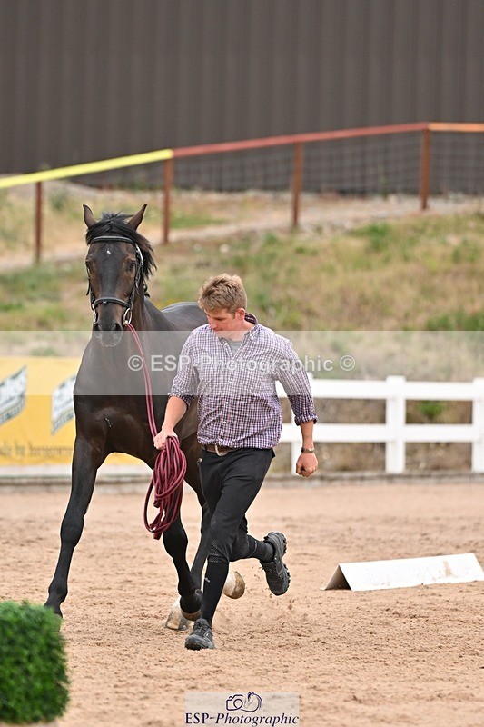 250716-160348-02378 - Trot Up 3.30 to 4.30