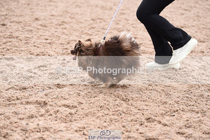 240518A-112100-00756 - Cls 1 Cutest Puppy