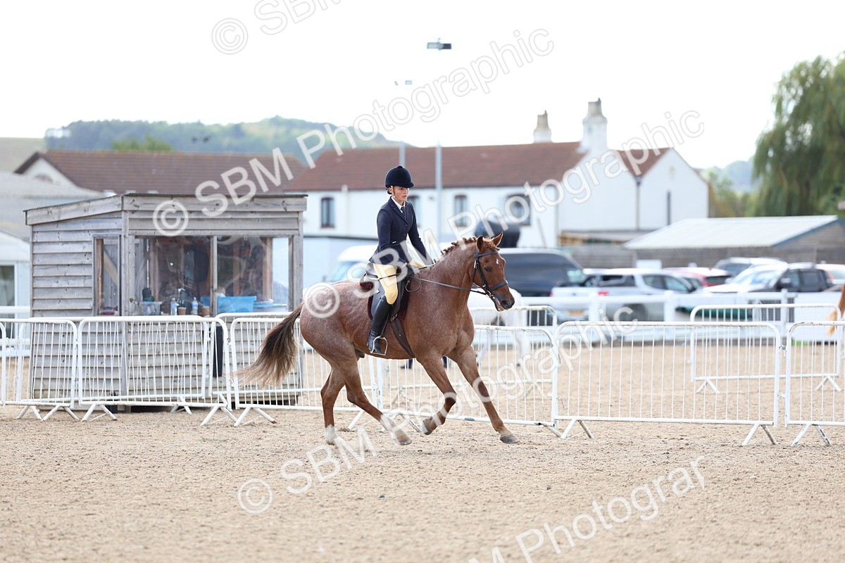 SBM_10113 - Class 304 - Ridden Part Bred Horse Pony