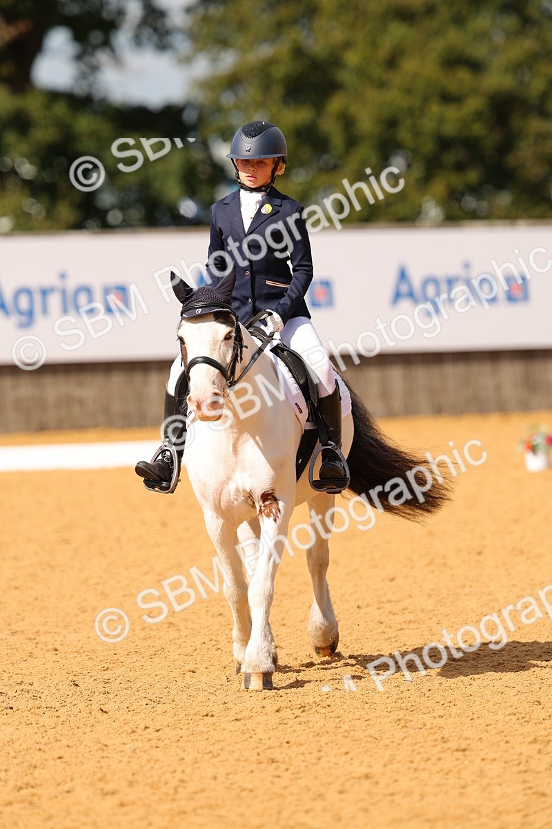 SBM_44100 - D22 - Junior Championship - Intro B