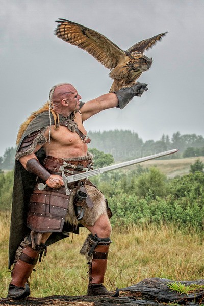 Norse s-61 - The Vikings