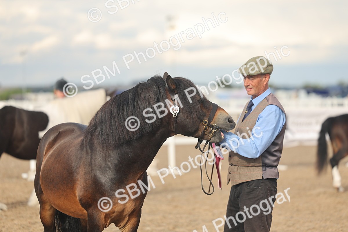 SBM_08599 - Class 29 - IH Veteran Pony