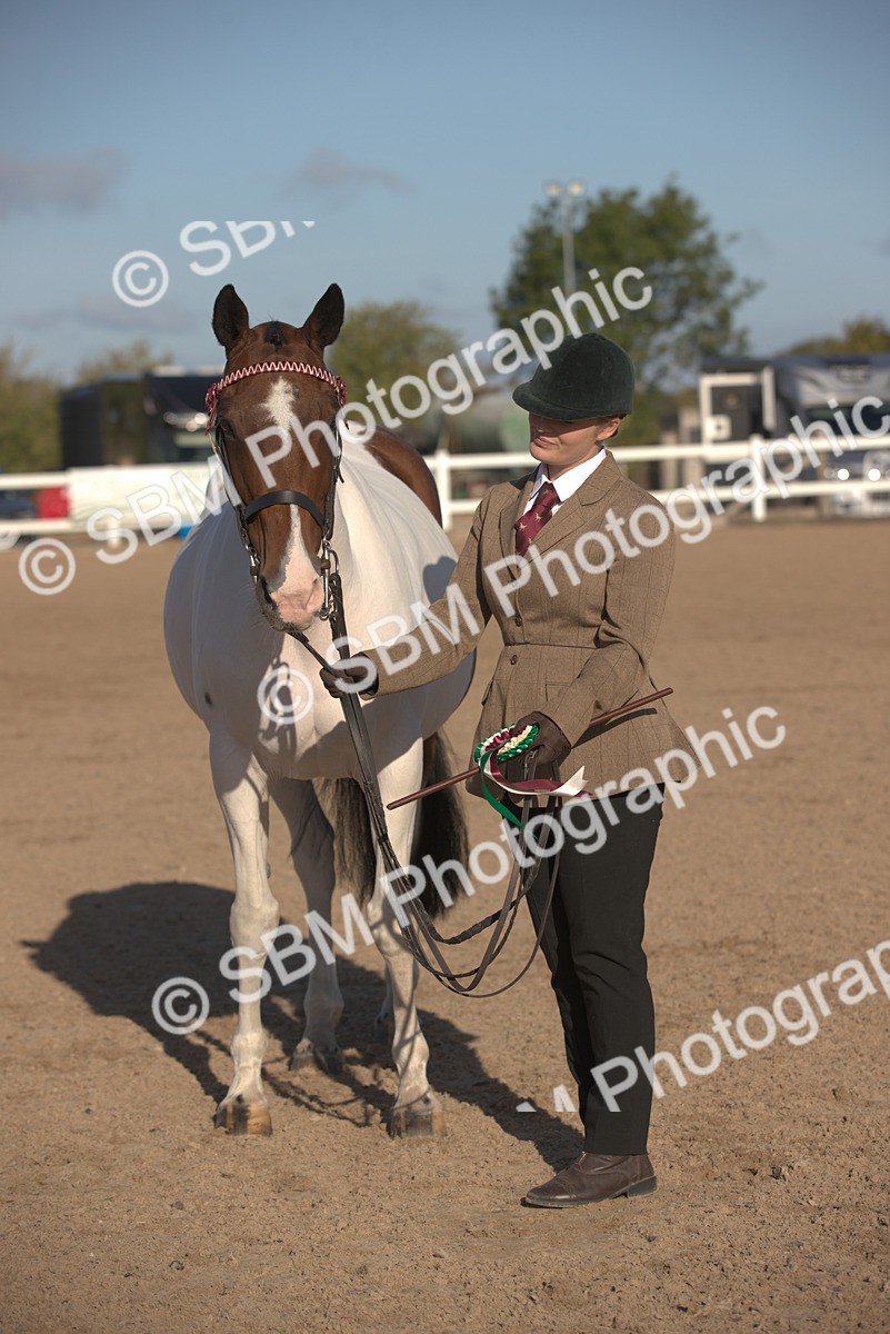 SBM_08387 - Class 401 - IH Veteran Horse